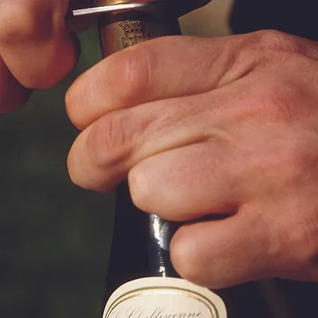 Mercure Magyar Kiraly