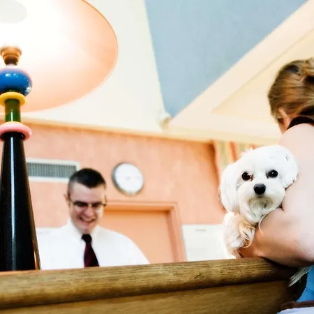 Hotell Mercure Magyar Kiraly